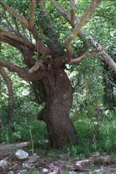 by krodin, Views[342]