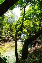 by krodin, Views[368]
