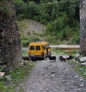 by krodin, Views[296]