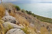 by krodin, Views[542]