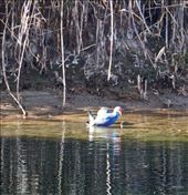 by krodin, Views[433]