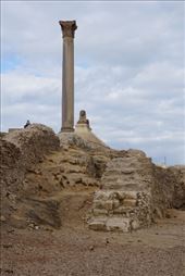 Pompey's Pillar: by krodin, Views[499]