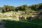 Amphitheater, Carthage: by krodin, Views[392]