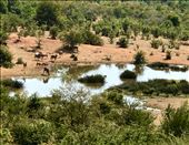 by krodin, Views[523]