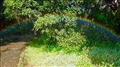 by krodin, Views[418]