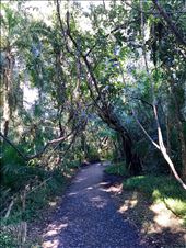 by krodin, Views[423]