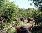 by krodin, Views[401]