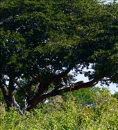 by krodin, Views[719]