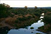 by krodin, Views[453]
