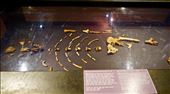 Lucy bones: by krodin, Views[322]