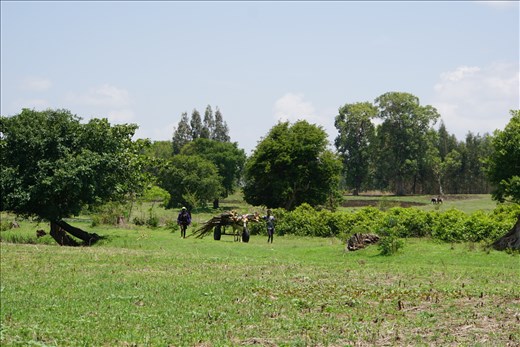 cart on the fields by Blue Nile Falls