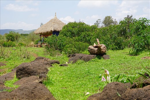 reed  boat w flowers by falls