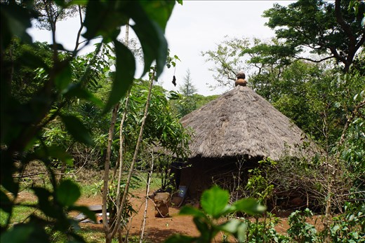 traditional house in the forest