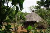 traditional house in the forest: by krodin, Views[461]