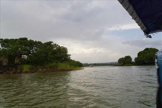 beginning of Blue Nile