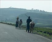 by krodin, Views[415]