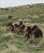 by krodin, Views[418]