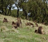 by krodin, Views[410]