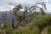 by krodin, Views[580]