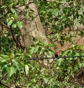 by krodin, Views[397]