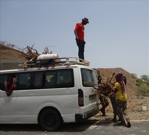 loading firewood for sale