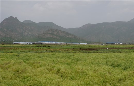 new industry in rural areas - blue roofs = Chinese firm