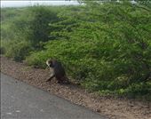 by krodin, Views[337]