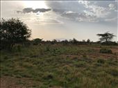 Awash Natl. Pk.: by krodin, Views[355]
