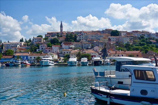 view of Vrsar from harbor