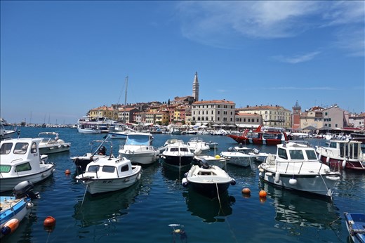 Rovinj from the harbor