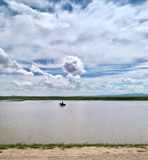 Taking one's horse for a swim