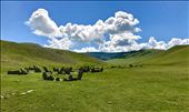 Turkic Gravesites: by krodin, Views[241]