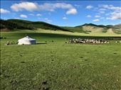 typical scene: by krodin, Views[1233]