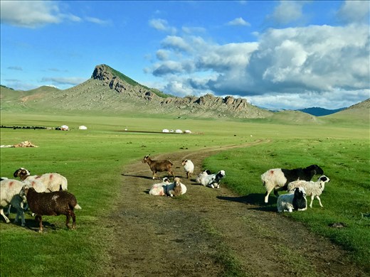 one hopes they move out of the road