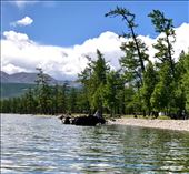 paddling with swimming yaks, Lake Khosvgol: by krodin, Views[209]