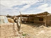 camel sheds: by krodin, Views[338]