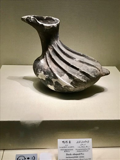 duck shaped pot that I find cute