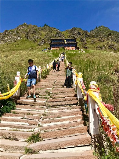Upper temple climb