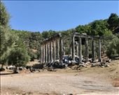 Temple to Zeus, Euromos: by krodin, Views[311]