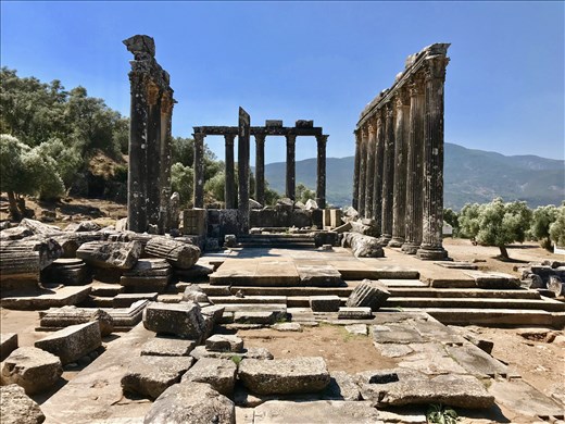 Temple to Zeus, Euromos