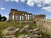 Selinunte acropolis: by krodin, Views[258]