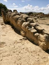 Fallen guardian, Temple of Zeus, Valle dei Templi, : by krodin, Views[266]