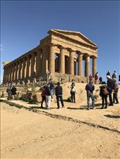 Concordia Temple, Valle dei Templi, Agrigento: by krodin, Views[1328]