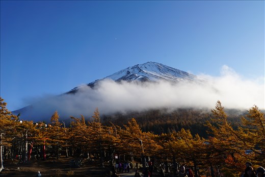 Mt. Fuji with cloud ring