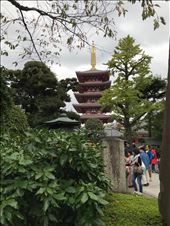 Asakusa Temple: by krodin, Views[201]