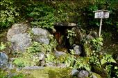 Kinkakuji Grotto: by krodin, Views[109]