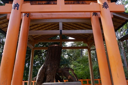 Shrine to the tree deity (?), Inari