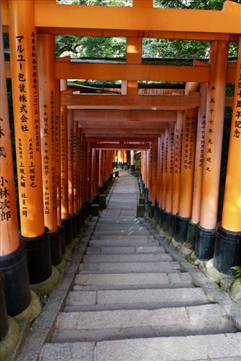1001 Torii, Inari Taisha