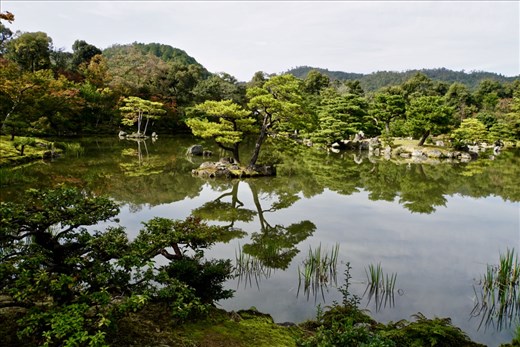 Kinkakuji Garden