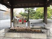 Kyoto, water shrine: by krodin, Views[202]